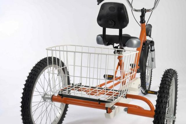 rear trike basket